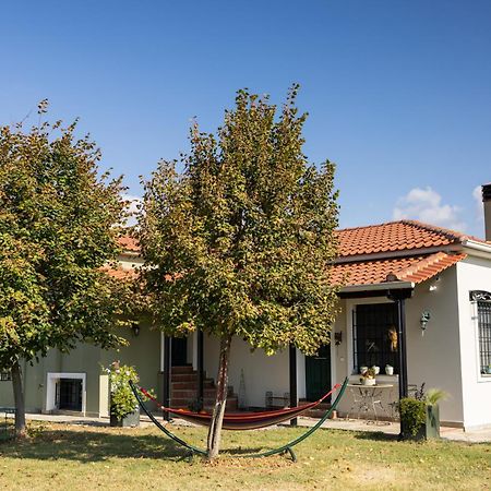The Hobbit Hole Villa Tríkala Dış mekan fotoğraf