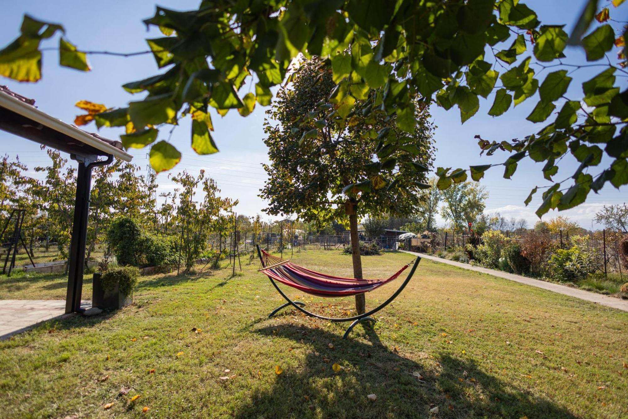 The Hobbit Hole Villa Tríkala Dış mekan fotoğraf